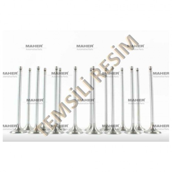 SUPAP TAKIM COROLLA 1.4  8V D4D DİZEL (IN-4 ÖLÇÜ:30.8x6x100 / EX-4 ÖLÇÜ:28x6x100)