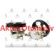 DİREKSİYON POMPASI LANCER 03-08 1.3 / 1.6