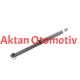 AMORTİSÖR SWIFT 06-10 GAZLI ARKA SAĞ-SOL