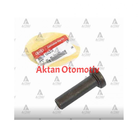 SUPAP FİNCANI CERES / HI-BESTA / BONGO / PREGIO