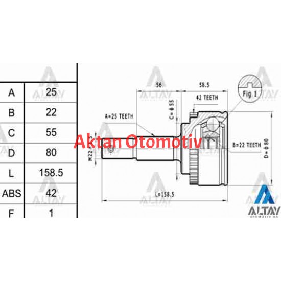 AKS KAFASI DIŞ ALMERA 00-06 / ABSLİ 25X55X22