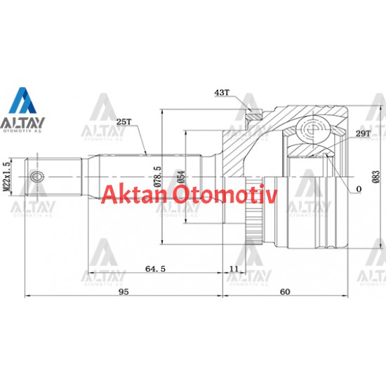 AKS KAFASI DIŞ CARISMA  96-00 / ABSLİ 25X29X54