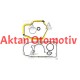 TAKIM CONTA ASTRA G  98-07 / VECTRA B 96-02 / VECTRA A 88-95 / 1.8-2.0 16V X18XER-X20XEV-X20XER ALT