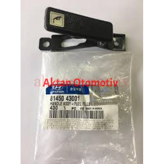 DEPO KAPAK AÇMA MANDALI H-100  94-06