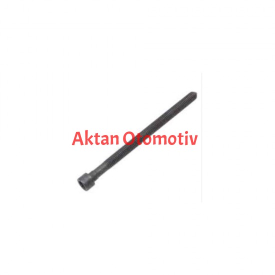 ENJEKTÖR CİVATASI PASSAT 06-09 BKP-BMR 2.0 TDİ