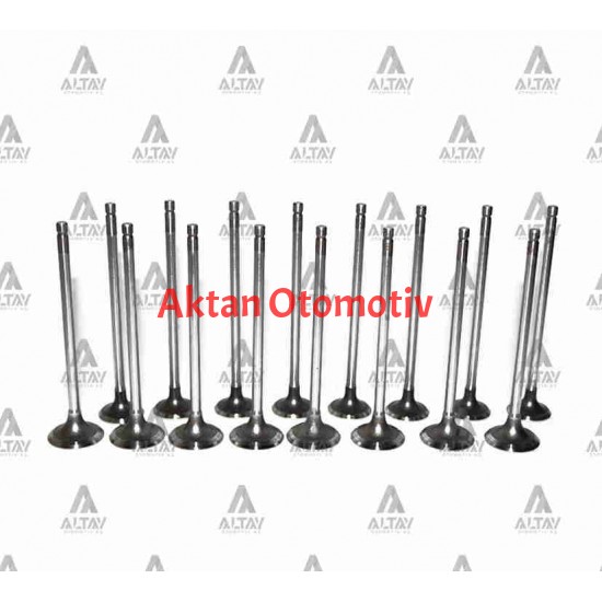 SUPAP TAKIM CIVIC 1.5 1.6 16V (IN-8 ÖLÇÜ:29x5.5x115 / EX-8 ÖLÇÜ:24.9x5.5x118.7)