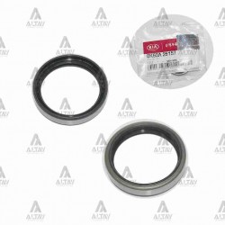 KEÇE TEKER PORYA (AKS) BONGO  97-04 (32x39x8) ARKA DIŞ