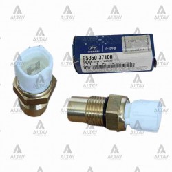 MÜŞÜR FAN ACCENT  95-00