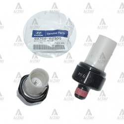 MÜŞÜR YAĞ I-20 09-21 1.2cc