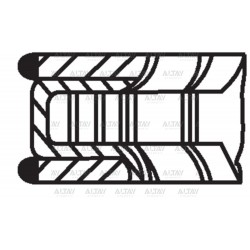 SEGMAN 206 / 307 / 406 / 407 / 607 / C4 / C5 2.0 16V (EW10J4-DEW10J4) STD (85.00)