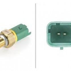 MÜŞÜR HARARET 206 / 207 / 307 / 308 / 407 / C3 / PARTNER / BERLİNGO 99= YEŞİL 2 FİŞLİ MÜŞÜR HARARET 206 / 207 / 307 / 308 / 407 / C3 / PARTNER / BERLİNGO 99= YEŞİL 2 FİŞLİ