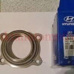 AKS RULMAN MUHAFAZASI STAREX 02-08 / H-100 KAMYONET 97-04