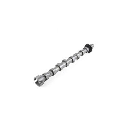 EKSANTRİK MİLİ 307 / C4 / C5 06= FOCUS / C-MAX /  MONDEO IV 0714 2.0HDI DW10-DÖKÜM EGZOZ