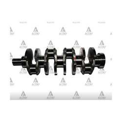 KRANK MİLİ BONGO / PREGIO