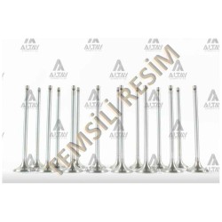 SUPAP TAKIM TOUAREG / Q7 / A6 (BKS-BUG-CASA-CASB-BKN-BMK-BNG) 3.0 TDI (24 V) SUPAP TAKIM TOUAREG / Q7 / A6 (BKS-BUG-CASA-CASB-BKN-BMK-BNG) 3.0 TDI (24 V)