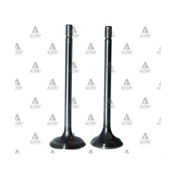 SUPAP TAKIM COROLLA 1.4  8V D4D DİZEL (IN-4 ÖLÇÜ:30.8x6x100 / EX-4 ÖLÇÜ:28x6x100)