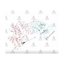 SUPAP TAKIM NQR 86 ENG. 4HK1 16V (IN-8 ÖLÇÜ:37x8x130.6 / EX-8 ÖLÇÜ:37x8x130.2) SUPAP TAKIM NQR 86 ENG. 4HK1 16V (IN-8 ÖLÇÜ:37x8x130.6 / EX-8 ÖLÇÜ:37x8x130.2)