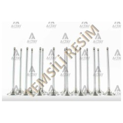 SUPAP TAKIM ALMERA 2.0 16V (IN-8 ÖLÇÜ:34x6x98.4 / EX-8 ÖLÇÜ:30x6x99.3)