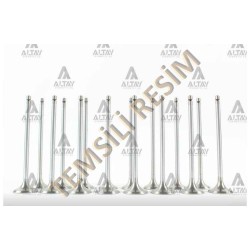 SUPAP TAKIM POLO / CORDOBA / FABİA (AEE-ALM) 1.6 8V