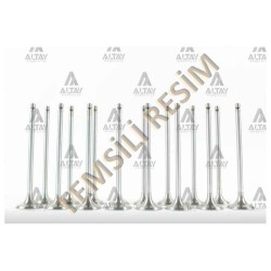 SUPAP TAKIM PASSAT / GOLF5 / JETTA / A3 / A4 / LEON (BKP-BKD-BRE-BMM-BMR-BUZ-BLB) 2.0 TDI 16V SUPAP TAKIM PASSAT / GOLF5 / JETTA / A3 / A4 / LEON (BKP-BKD-BRE-BMM-BMR-BUZ-BLB) 2.0 TDI 16V