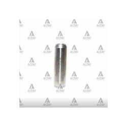 SUPAP GAYDI BONGO / PREGIO