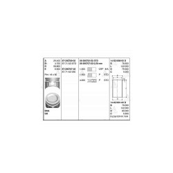 SEGMAN EXCEL 90-94 / LANCER 89-94 1.5 4G15 75.50mm STD