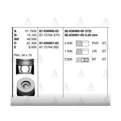 SEGMAN BT-50 06-11 050