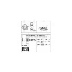 SEGMAN CIVIC 96-01 / HRV 99-07 1.6 D16Y4-D16W1 75.00mm STD SEGMAN CIVIC 96-01 / HRV 99-07 1.6 D16Y4-D16W1 75.00mm STD