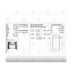 SEGMAN PICKUP 03-12 SKYSTAR / NAVARA 06-15 YD25DDTI 89.00mm STD SEGMAN PICKUP 03-12 SKYSTAR / NAVARA 06-15 YD25DDTI 89.00mm STD