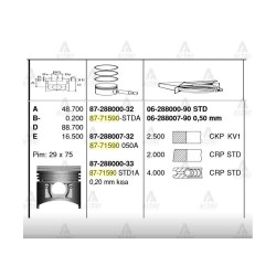 PİSTON SEGMANLI L-300 98- 050