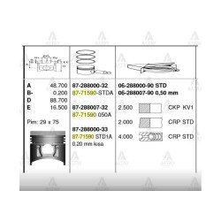 PİSTON SEGMANLI L-300 98- STD PİSTON SEGMANLI L-300 98- STD