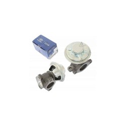 EGR VALFİ STAREX 02-08 140HP D4CB