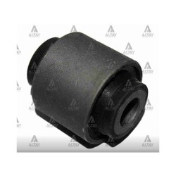 BURÇ DENGE KOLU CARISMA KÜÇÜK ARKA (YERLİ)