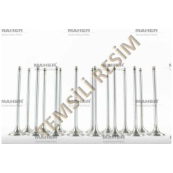 SUPAP TAKIM STAREX SORENTO 140HP H-1 SORENTO 170HP TEK TIRNAK (IN-8:31.9x7x110.6 / EX-8:28x7x110.6