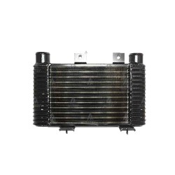 TURBO RADYATÖRÜ (INTERCOOLER) B-2500  97-06