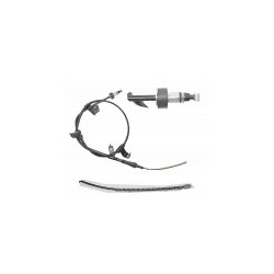 TEL EL FREN ACCENT 06-11 ERA / RIO 06-11 (KAMPANA TİP) ARKA SAĞ