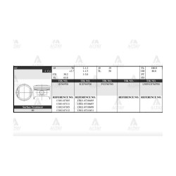 PİSTON TAKIM TERIOS 1.3L / 97-01 / CHARADE 1.3L 96-98 / 76.00mm / STD PİSTON TAKIM TERIOS 1.3L / 97-01 / CHARADE 1.3L 96-98 / 76.00mm / STD